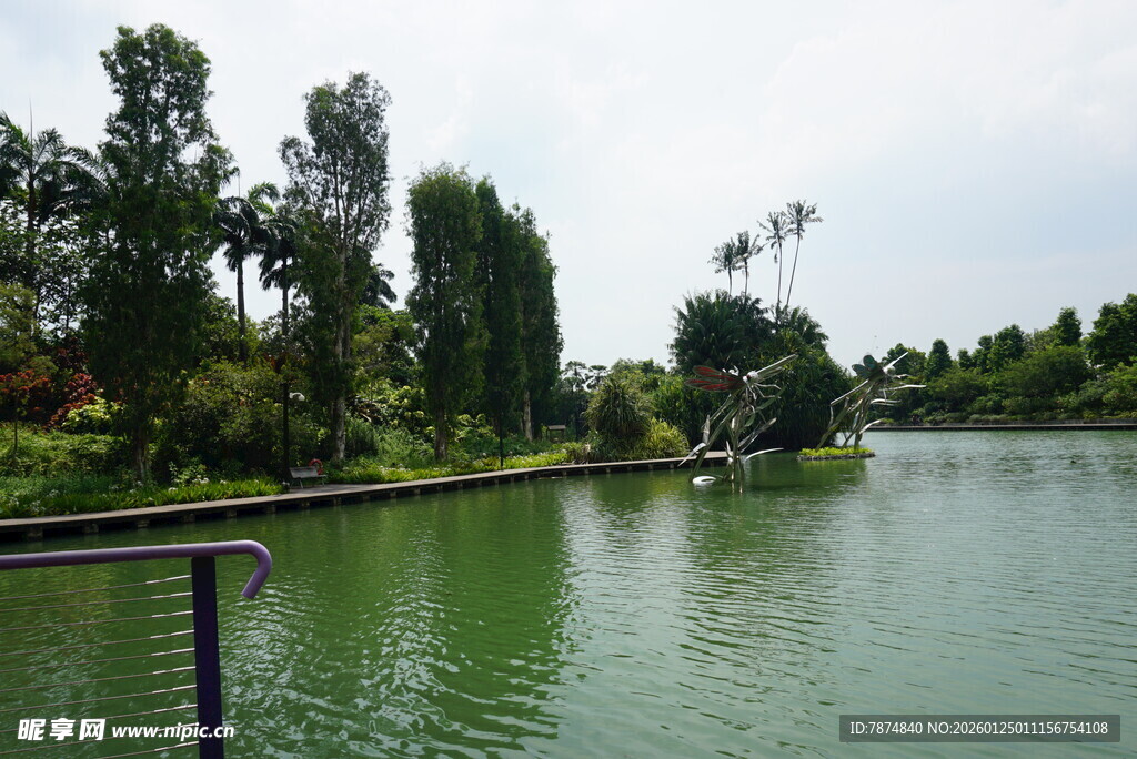 湖畔绿树环绕的宁静风光