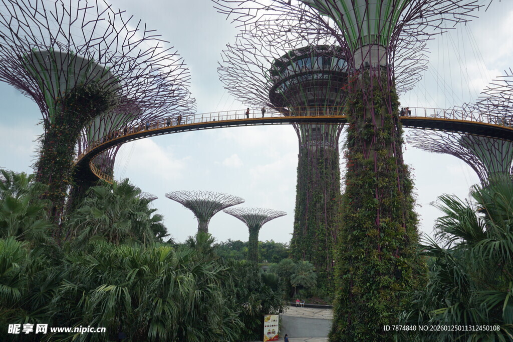 新加坡滨海湾花园景观