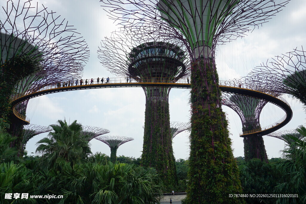 新加坡滨海湾超级树景观