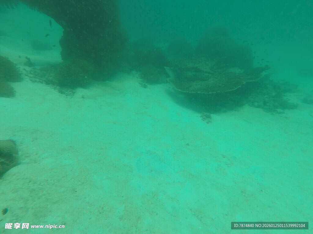 海底景象 水下礁石与沙地