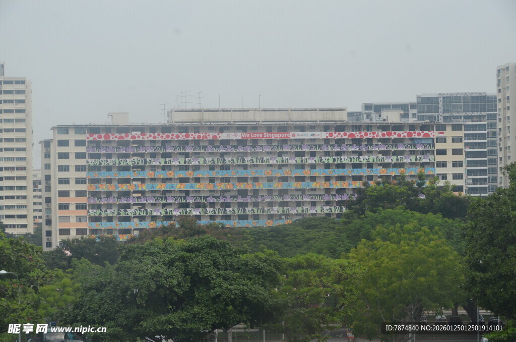 多彩建筑隐于绿树间