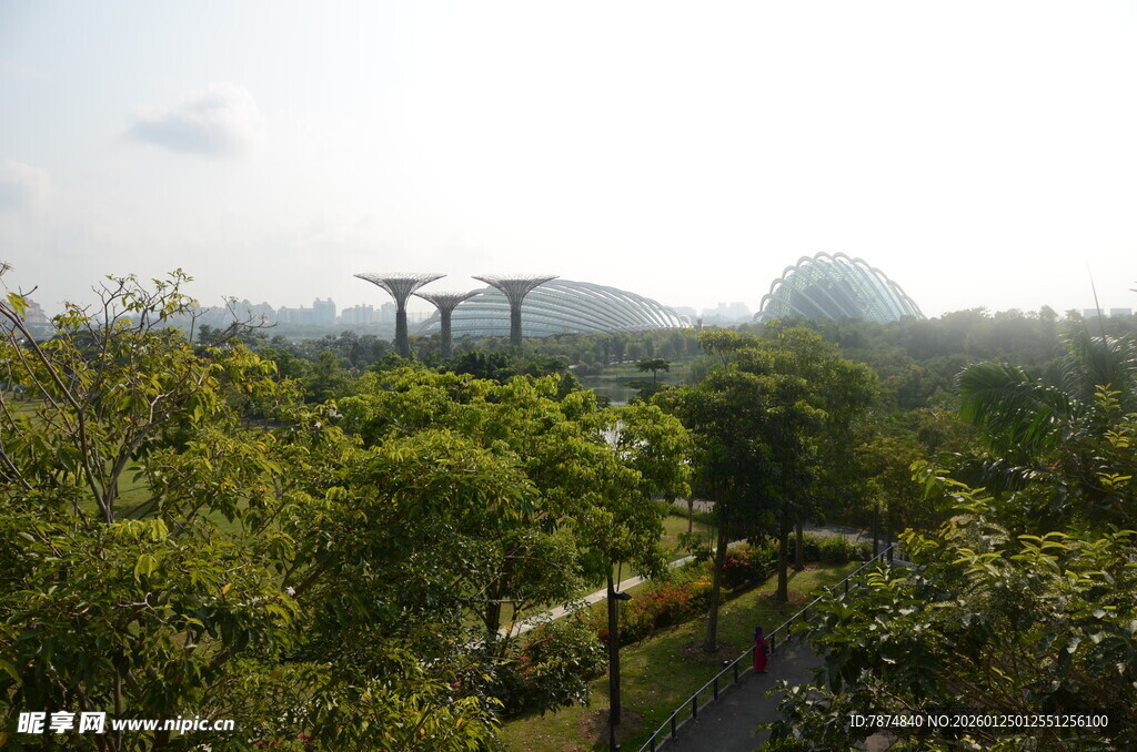 新加坡滨海湾花园景观