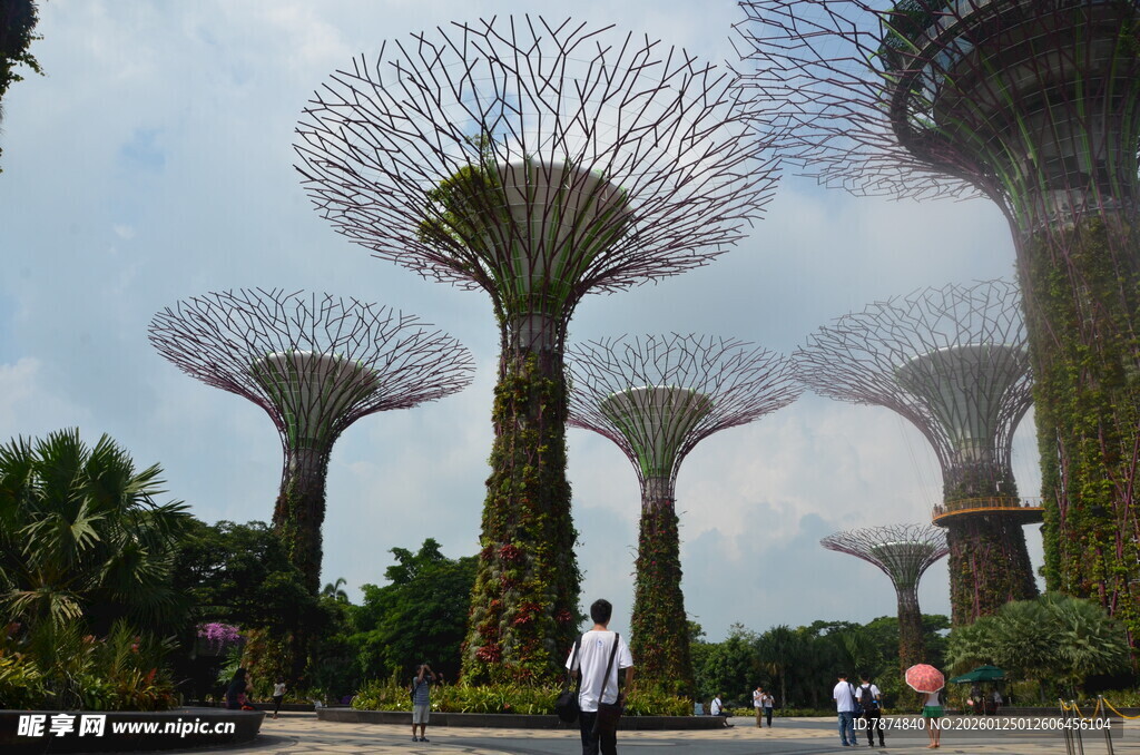 新加坡超级树景观