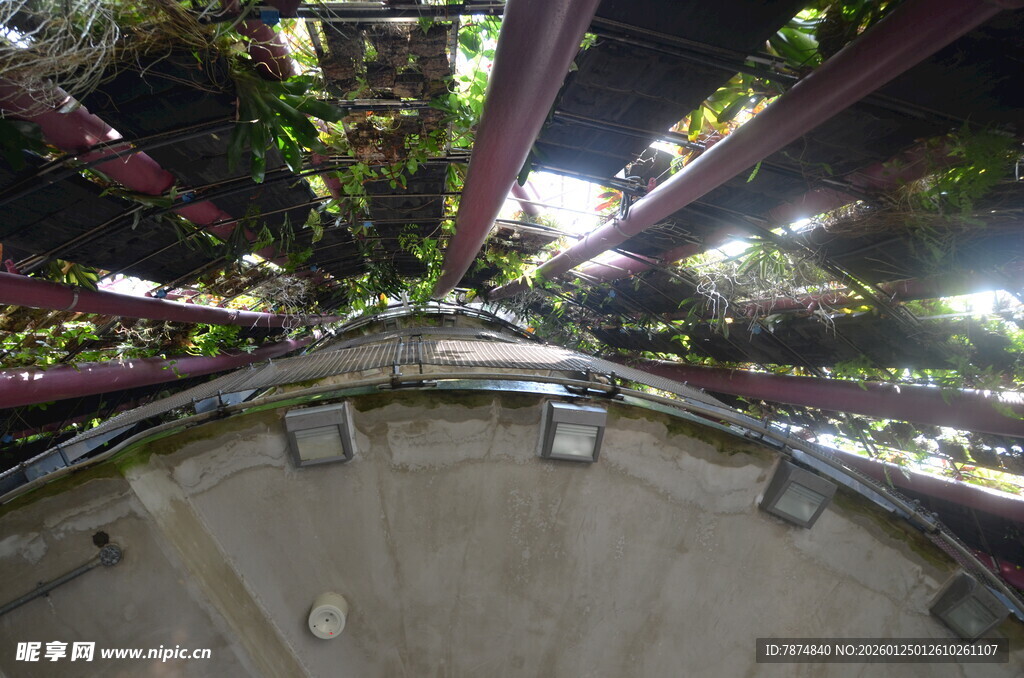 室内垂直农业种植景观