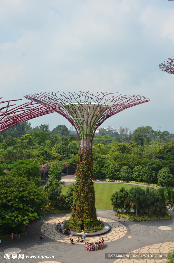 新加坡滨海湾超级树景观