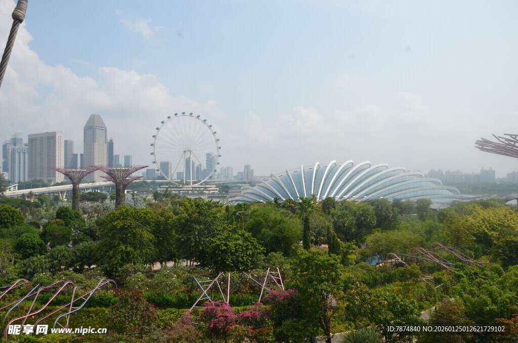 新加坡城市景观与绿植