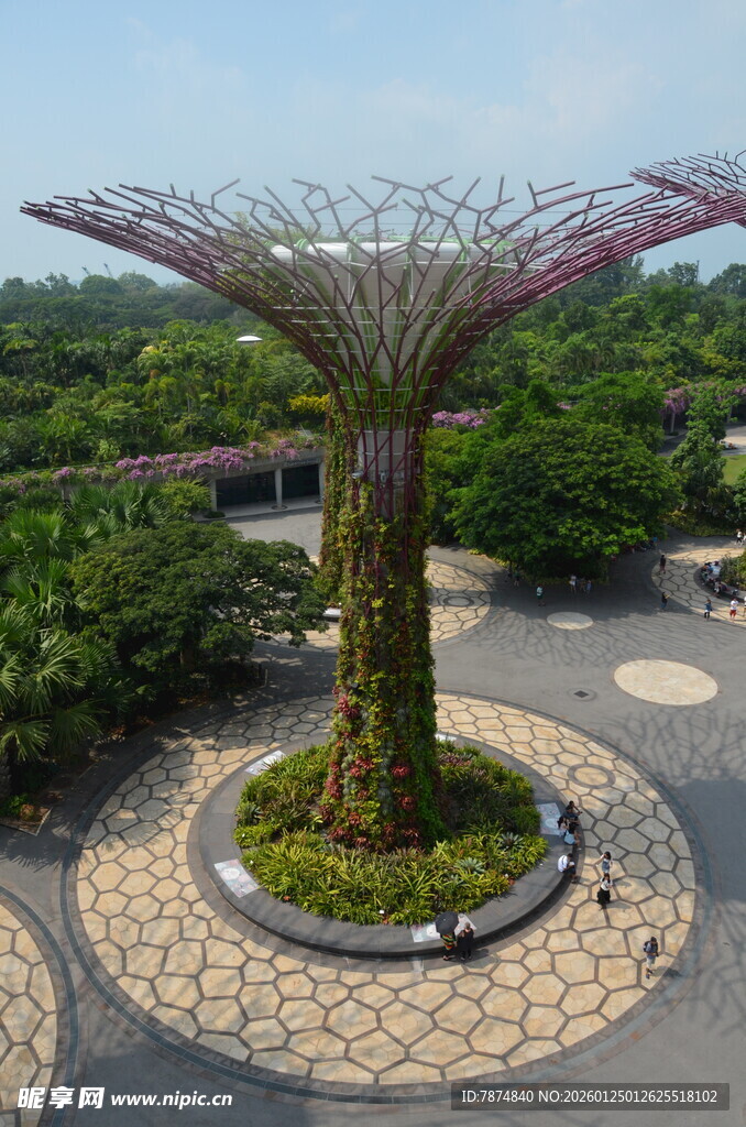 新加坡擎天树景观