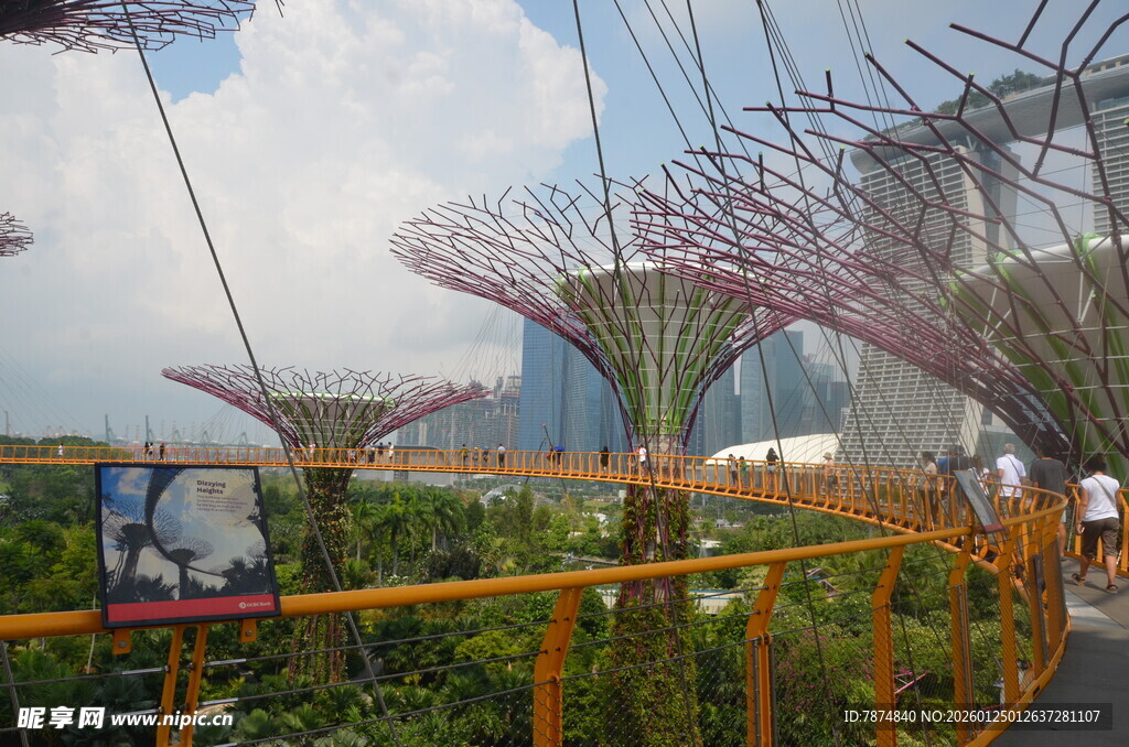 新加坡滨海湾花园景观