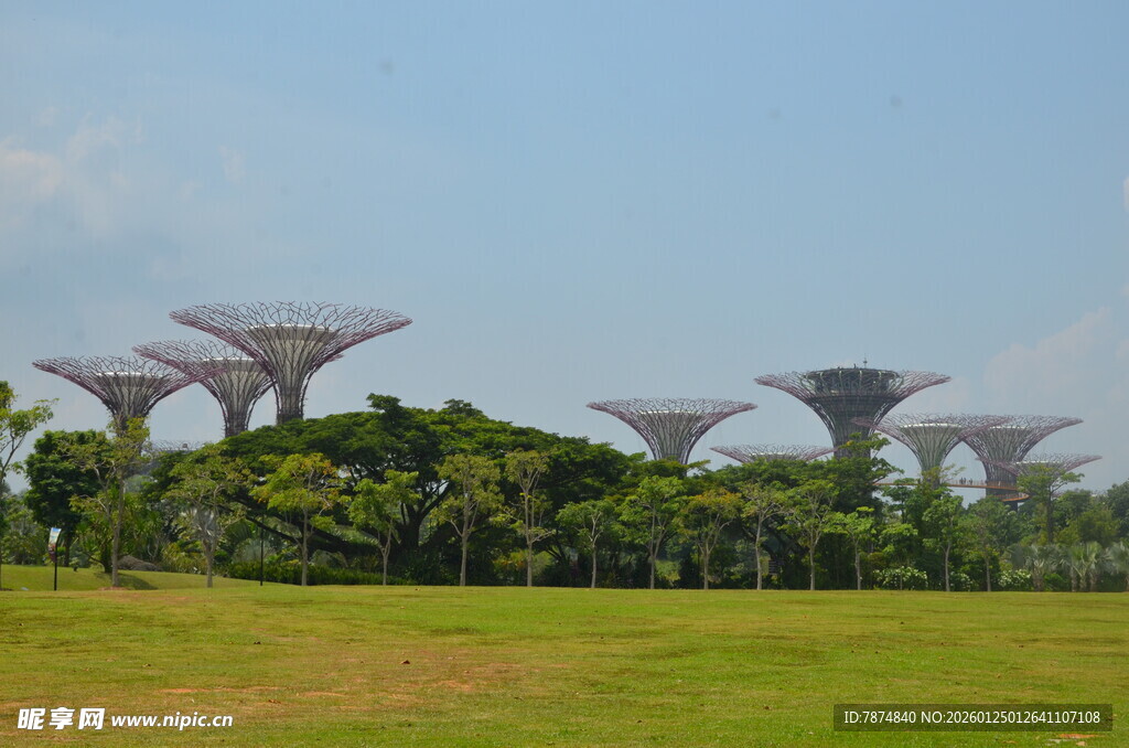 新加坡滨海湾超级树景观