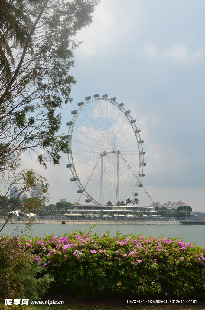 湖畔摩天轮与繁花美景