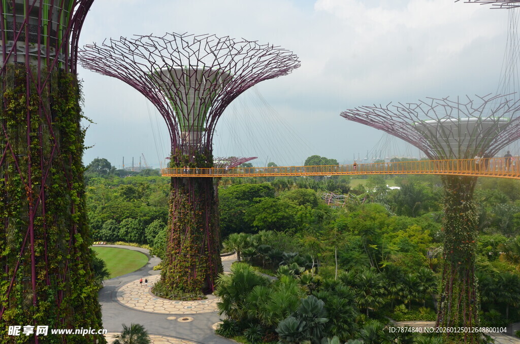 新加坡滨海湾超级树景观