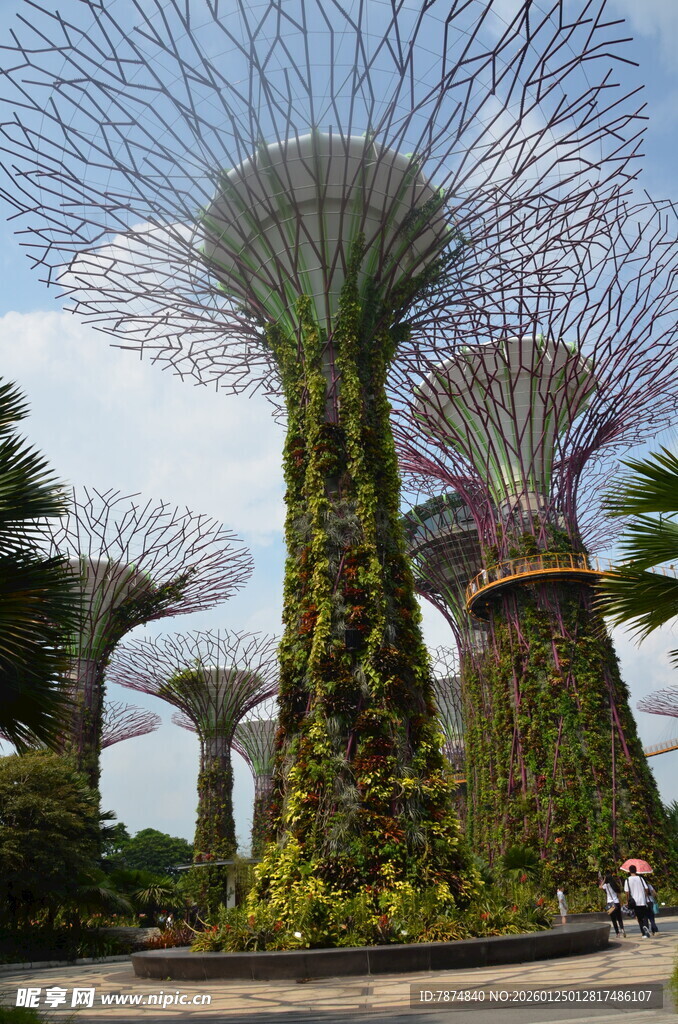 新加坡滨海湾超级树景观