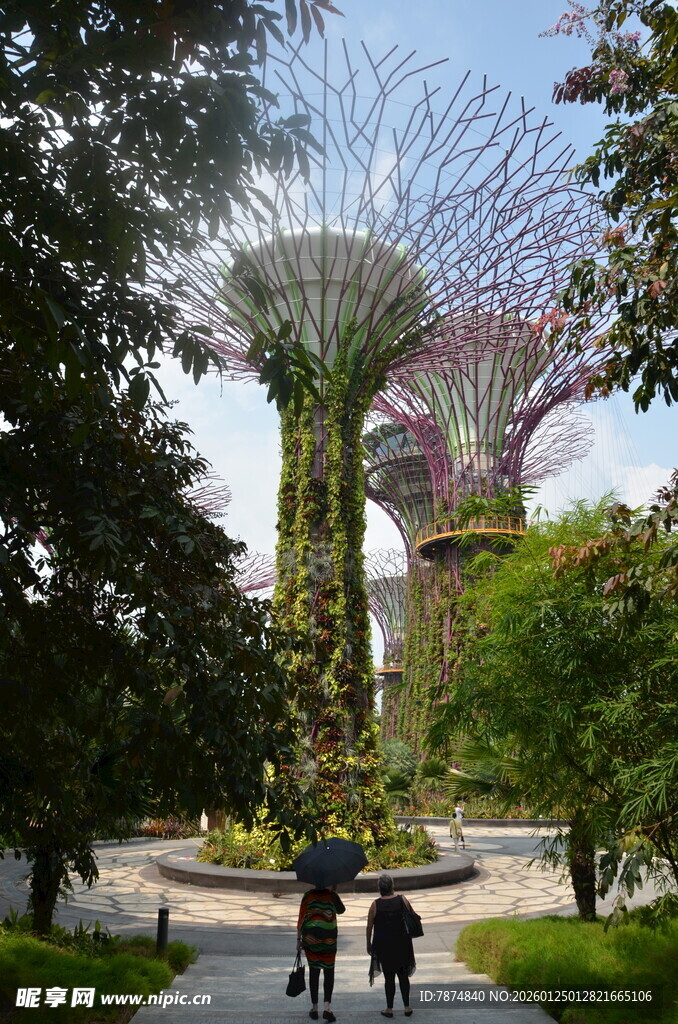 新加坡滨海湾花园景观