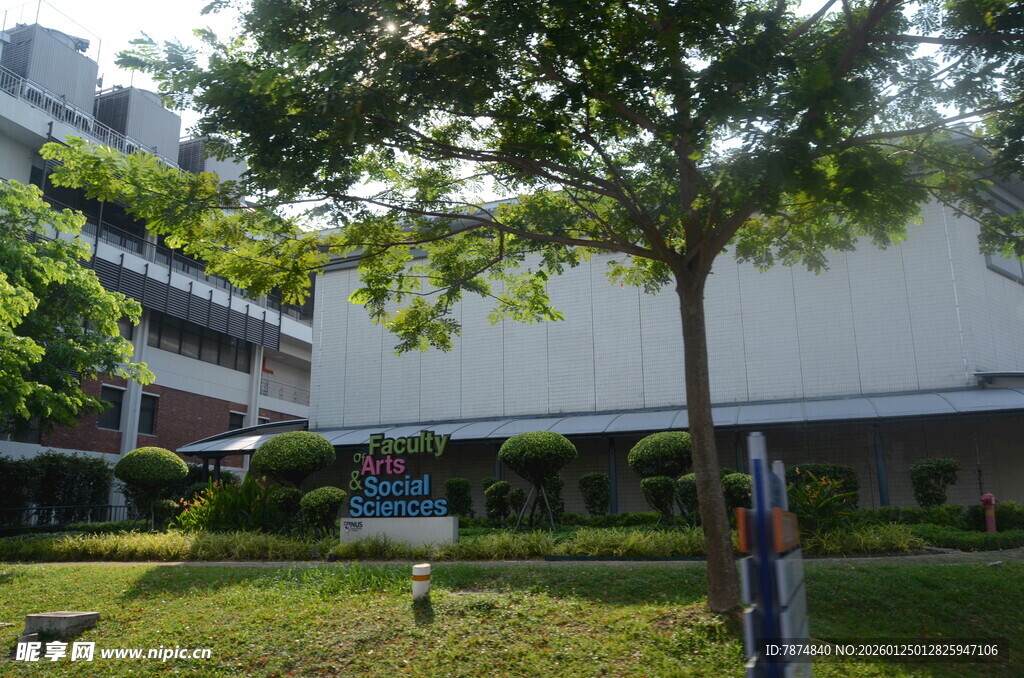 校园绿树环绕的建筑景观