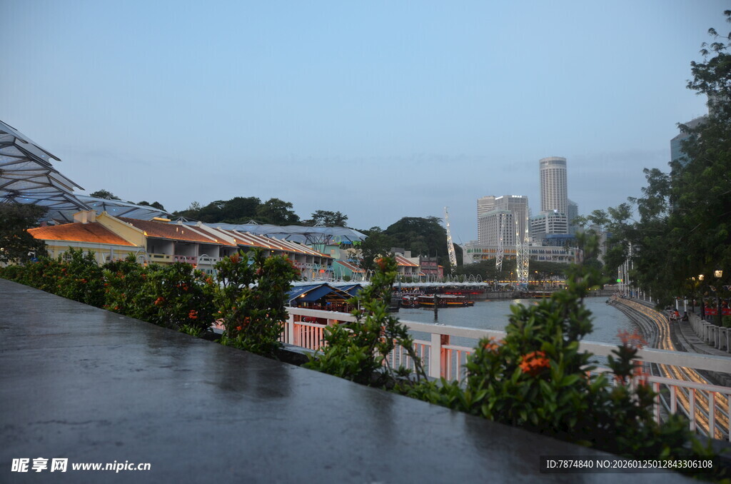 雨后城市景观中的花卉绿植