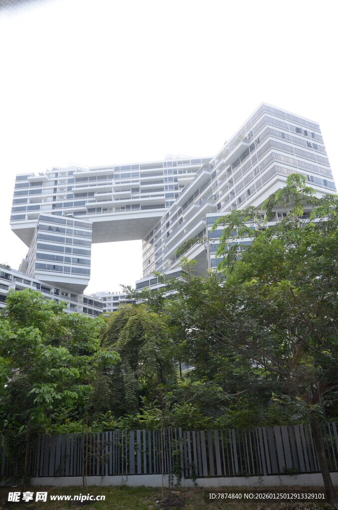 现代建筑与绿树相映成趣