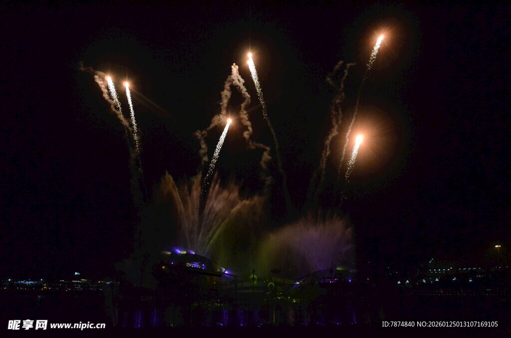 夜空中绚烂的烟花绽放