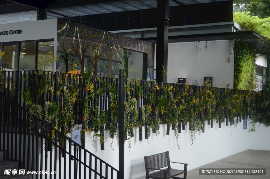 户外绿植装点的休憩空间