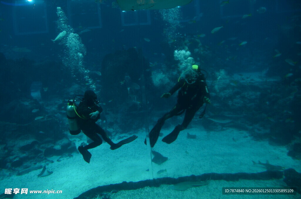 水下潜水员的精彩瞬间