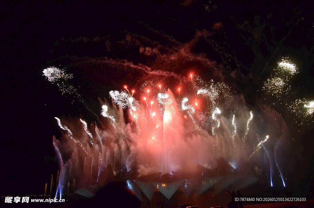 绚丽烟花绽放夜空