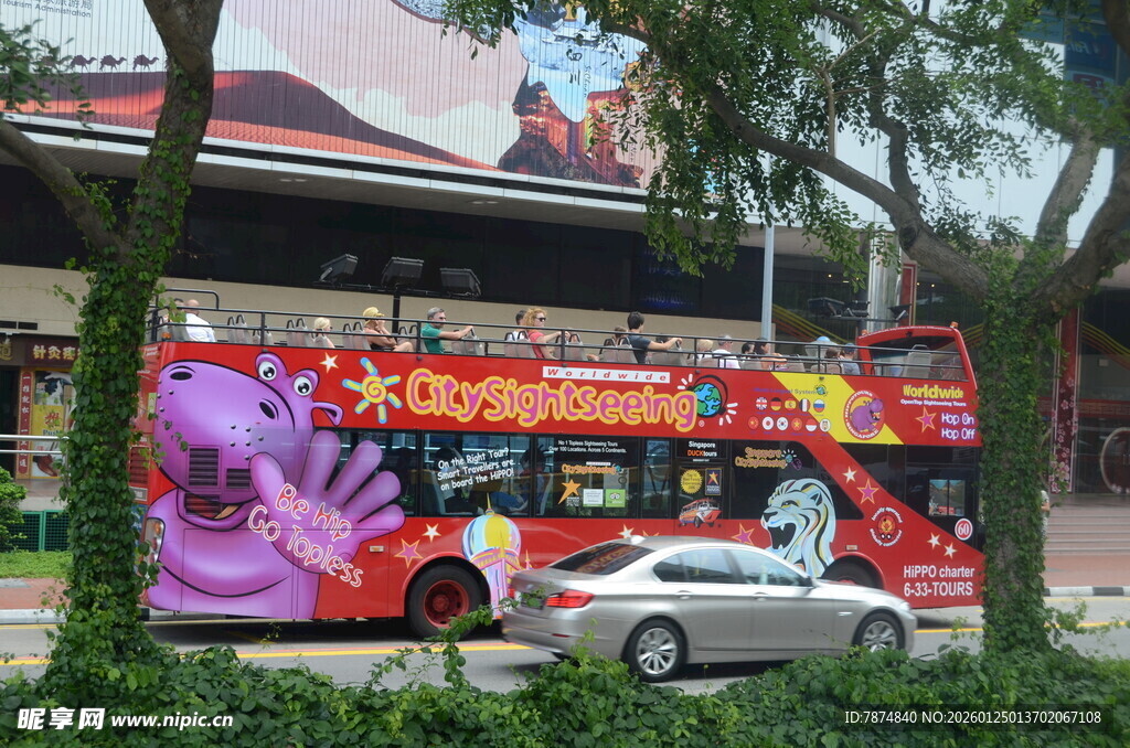 城市街头的双层观光巴士