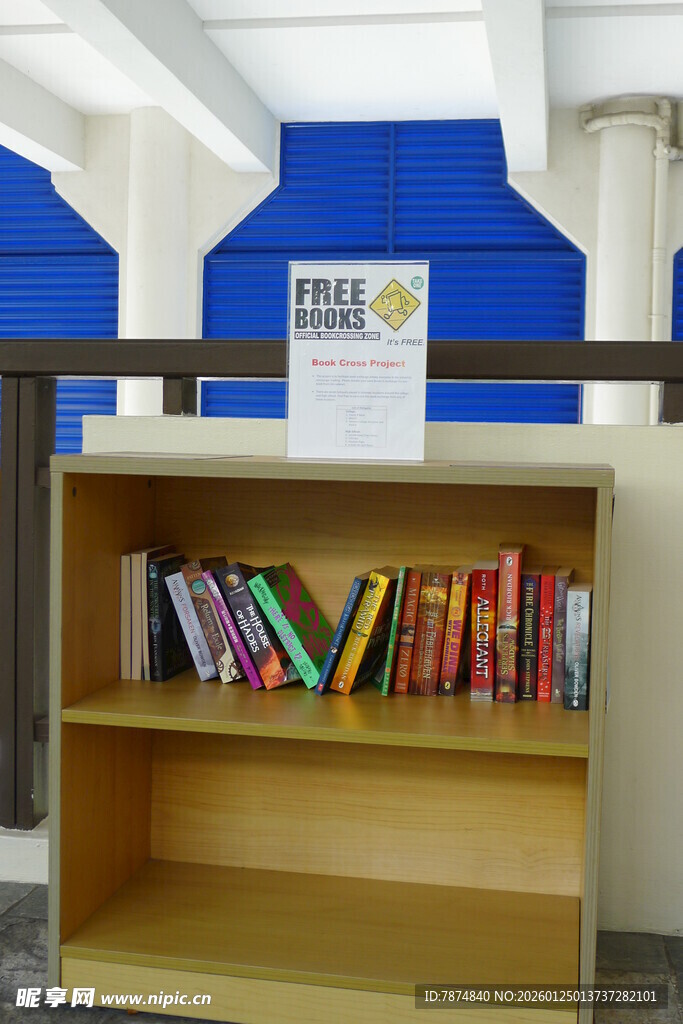 书架上的多彩书籍