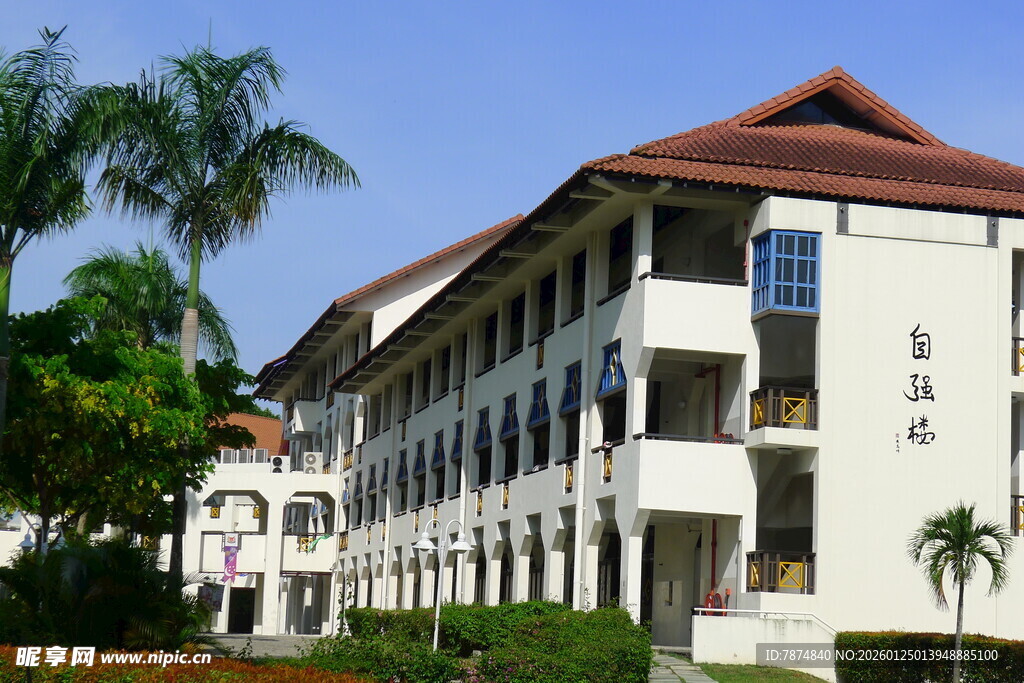 白色多层建筑与绿植景观