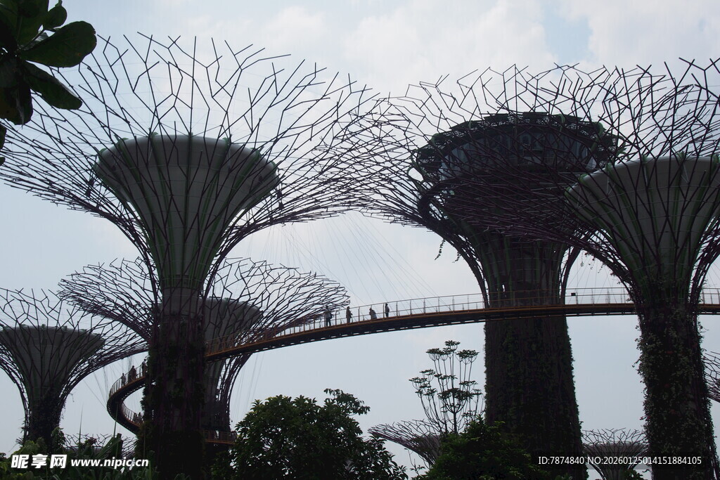 新加坡滨海湾奇幻树景观