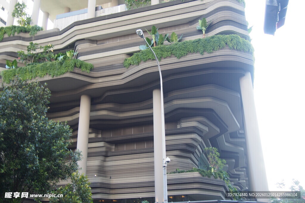 绿植覆盖的独特建筑外观