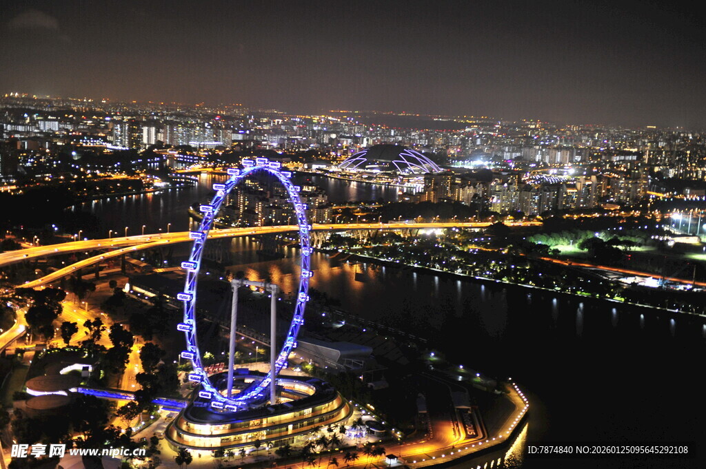 城市夜景中的璀璨摩天轮