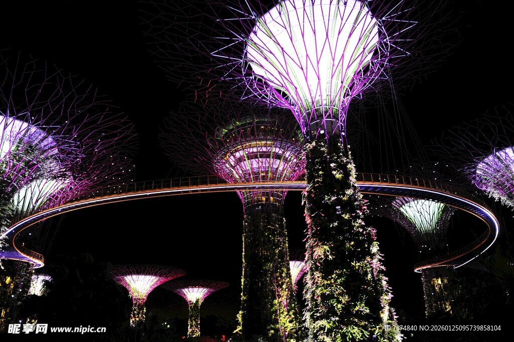 新加坡滨海湾夜景灯光秀