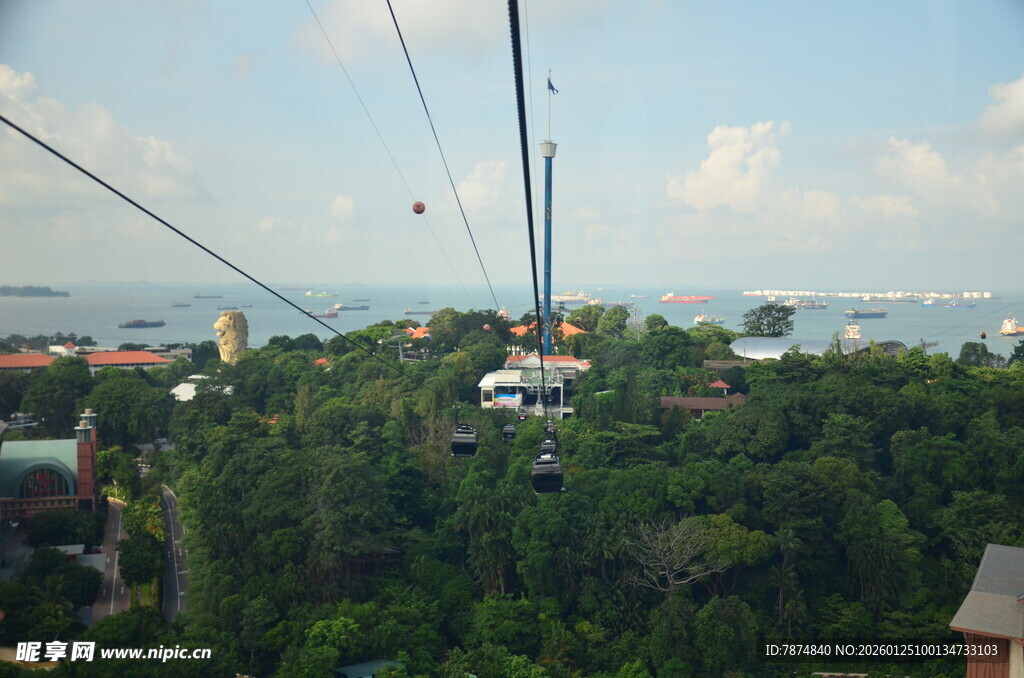 高空缆车俯瞰茂密丛林景观