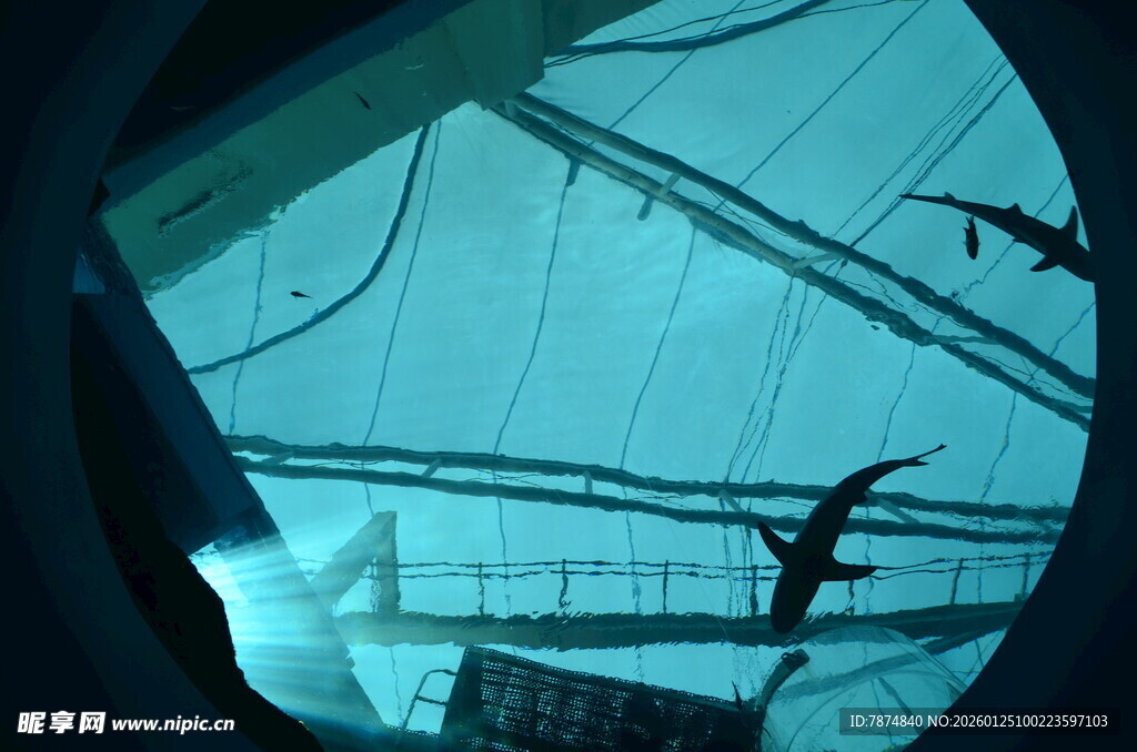 透过舷窗看海上设施与飞鸟