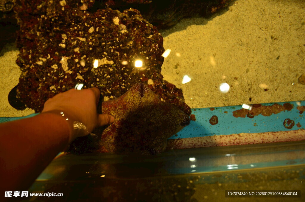 手捧闪耀金箔装饰物件