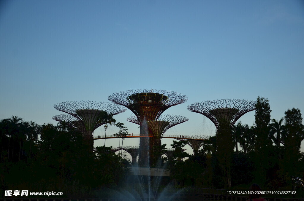 新加坡滨海湾超级树景观