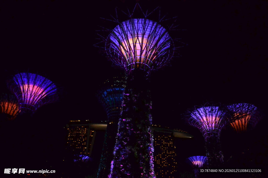 夜晚绚丽灯光艺术装置