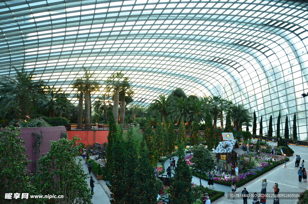 室内绿植景观的美丽空间