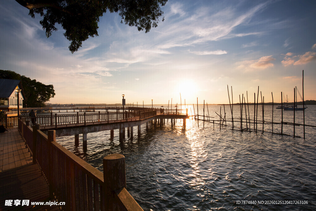 夕阳下的湖畔木质栈桥 新加坡