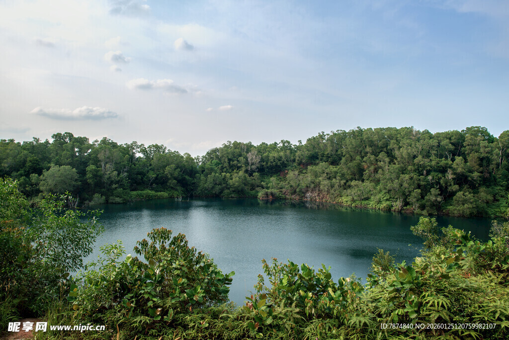 静谧森林环绕的清幽湖泊 新加坡
