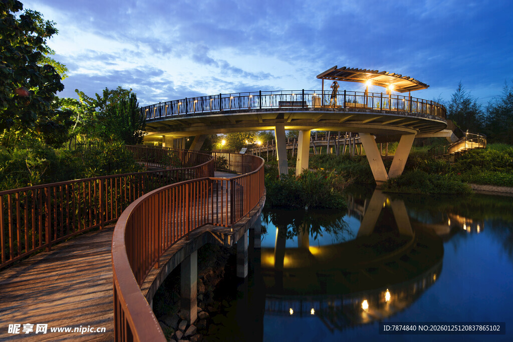 湖畔木桥夜景 静谧美好