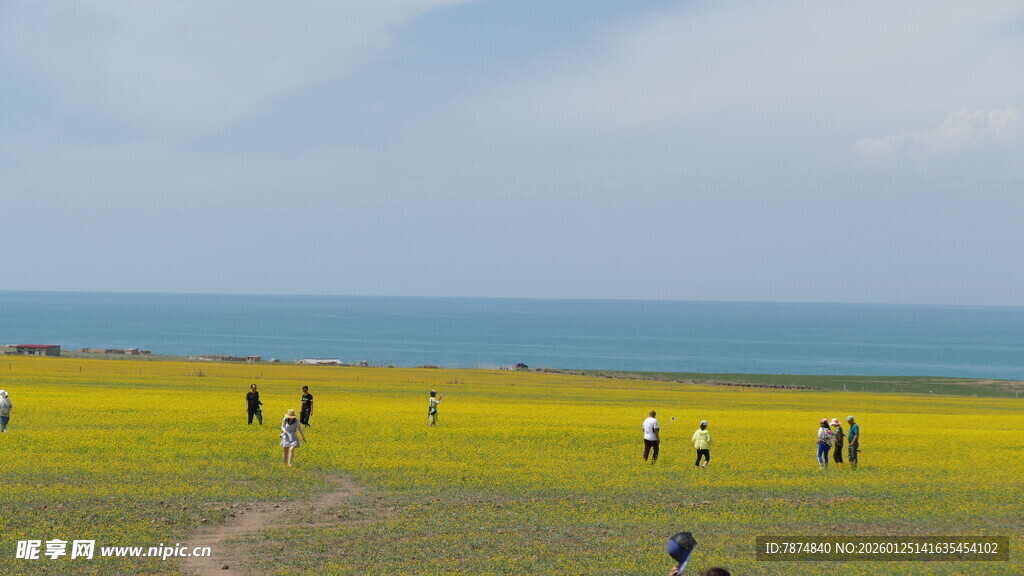 草原花海中人们惬意游玩
