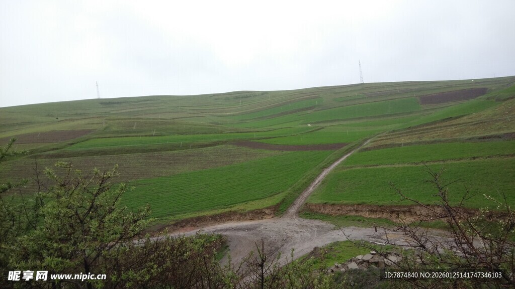 田野间蜿蜒小路风景