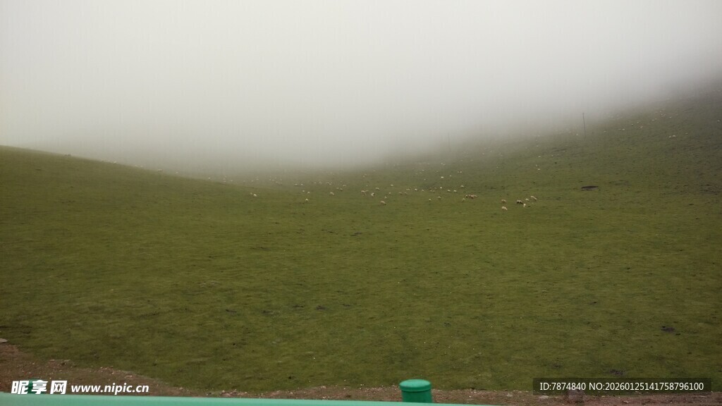 云雾缭绕的绿色山坡