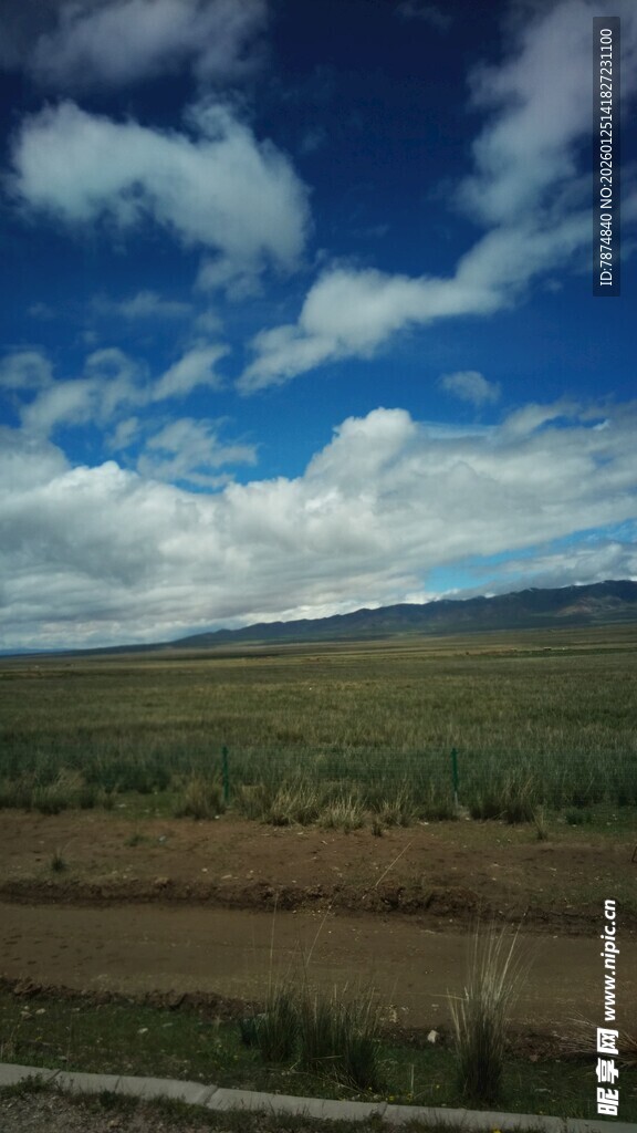 蓝天白云下的广袤原野