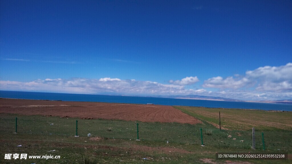 草原上的蓝天与多彩花海