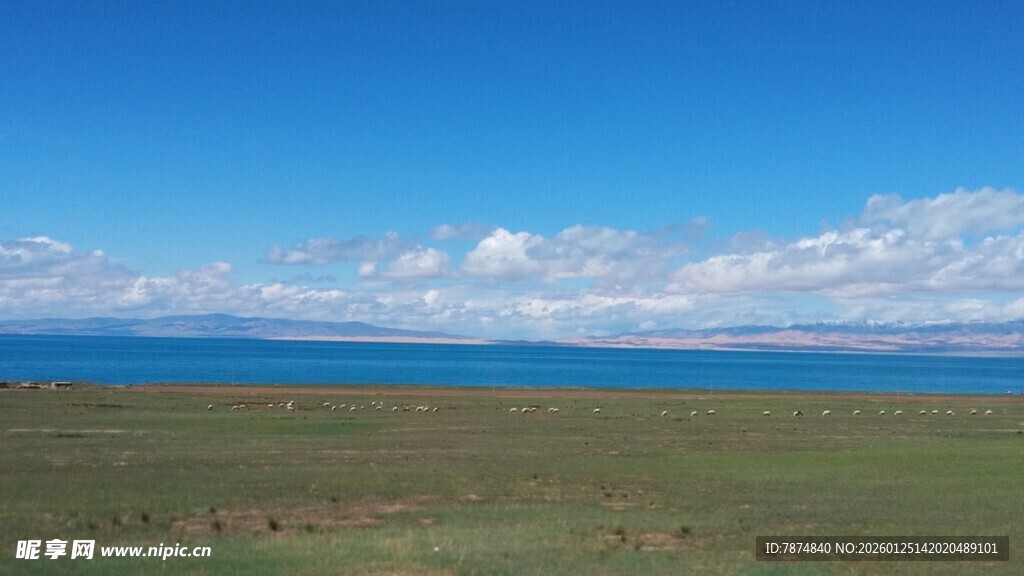 辽阔草原与远处蓝色水域