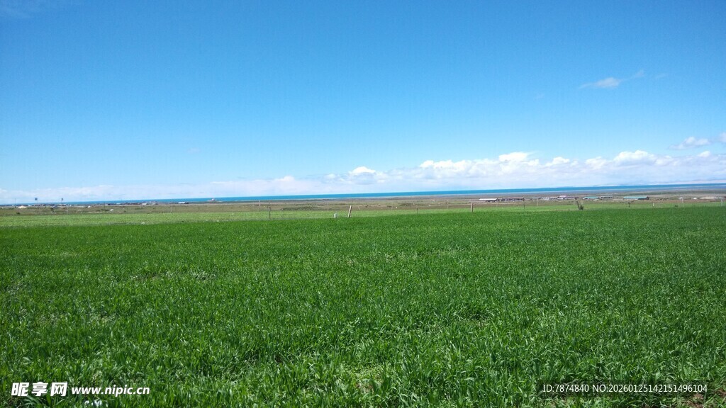 广袤绿野 蓝天之下的风光