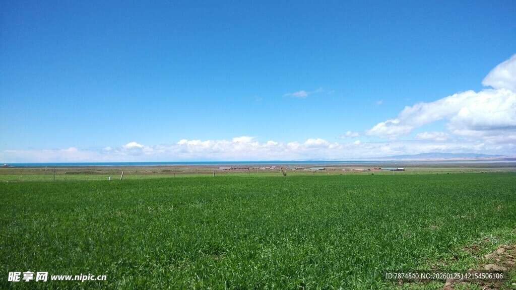 广袤绿野 蓝天相伴
