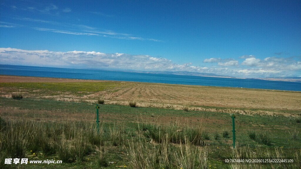 草原与海的辽阔景致