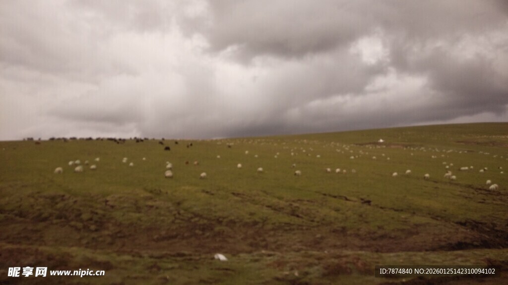 草原上的阴沉天空